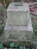 image of grave number 443833